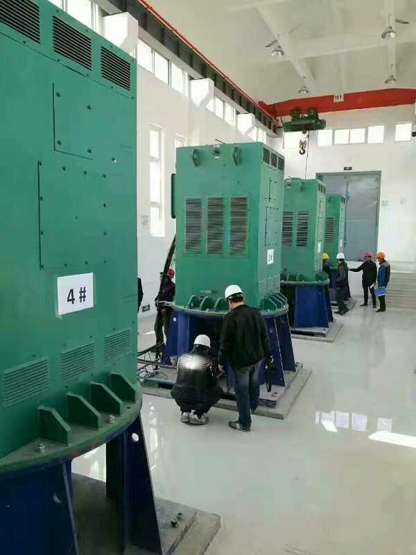 邹城某污水处理厂使用我厂的立式高压电机安装现场