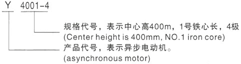 西安泰富西玛Y系列(H355-1000)高压邹城三相异步电机型号说明
